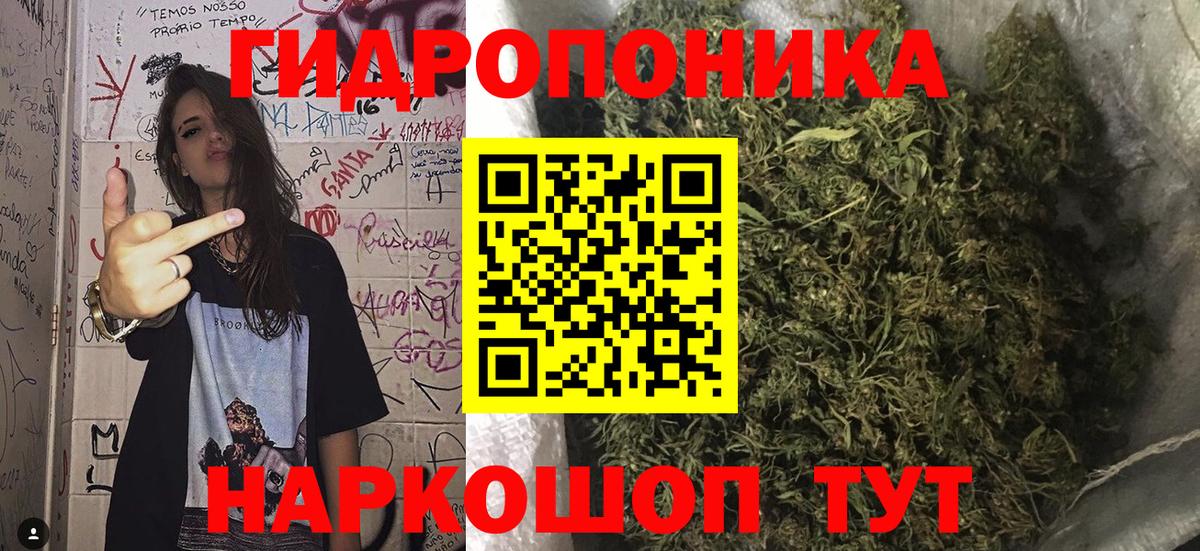 Бошки Шишки ГИДРОПОН  Бошки марихуана конопля  Каннабис White Widow  Вход с VPN  Мирный 